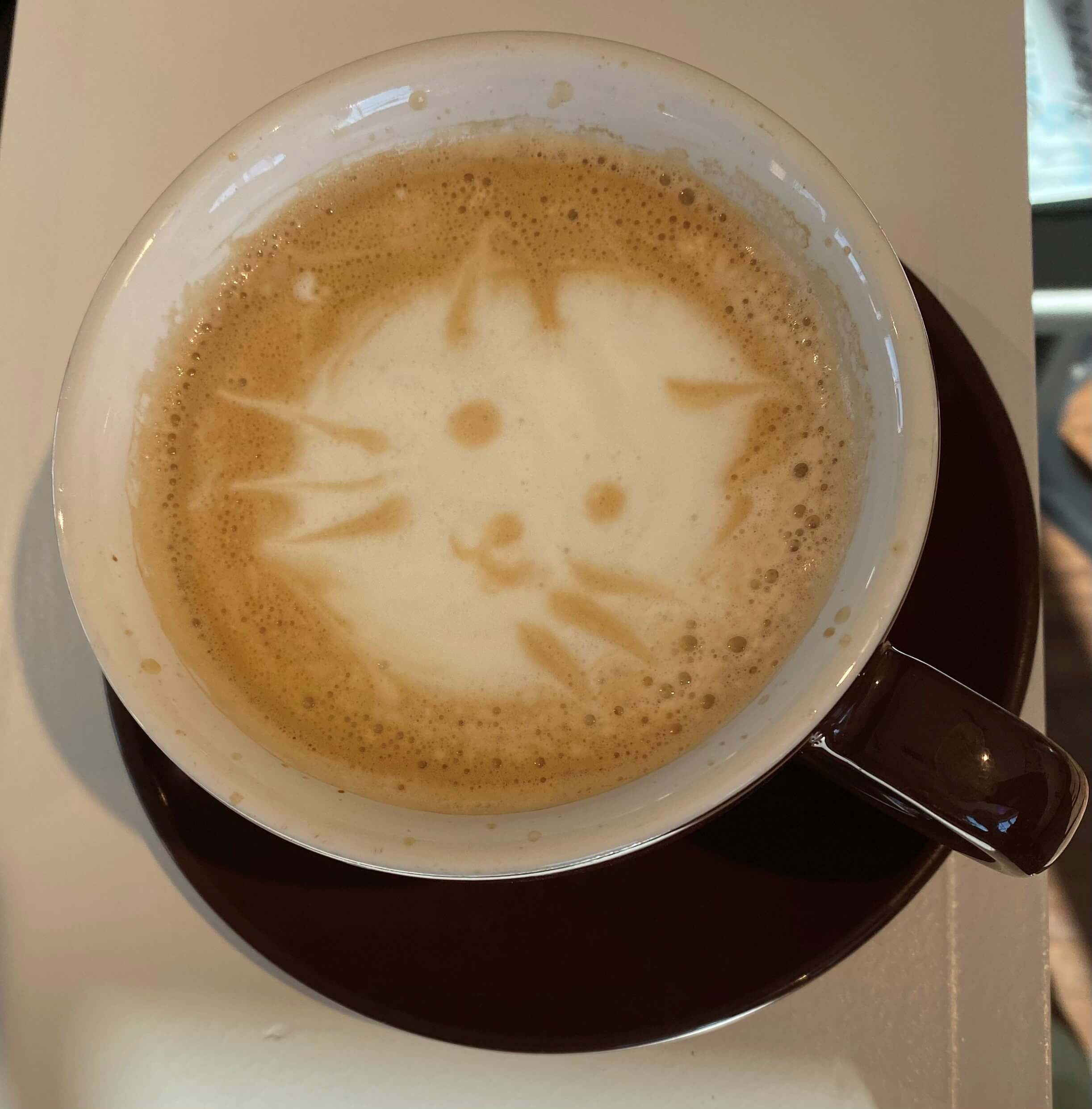 Latte Art - Cat